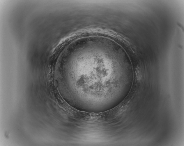 X0000103241494200808281429