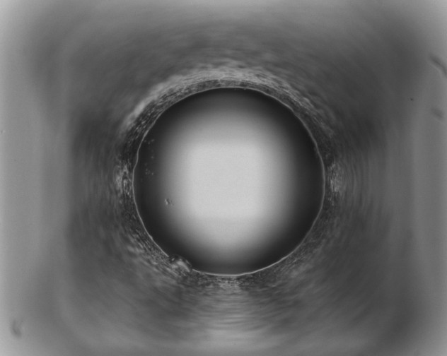 X0000103241495200808281429