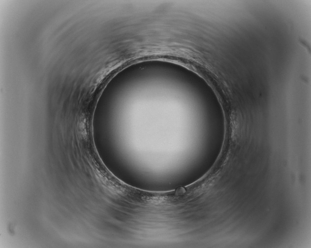 X0000103241497200808281429