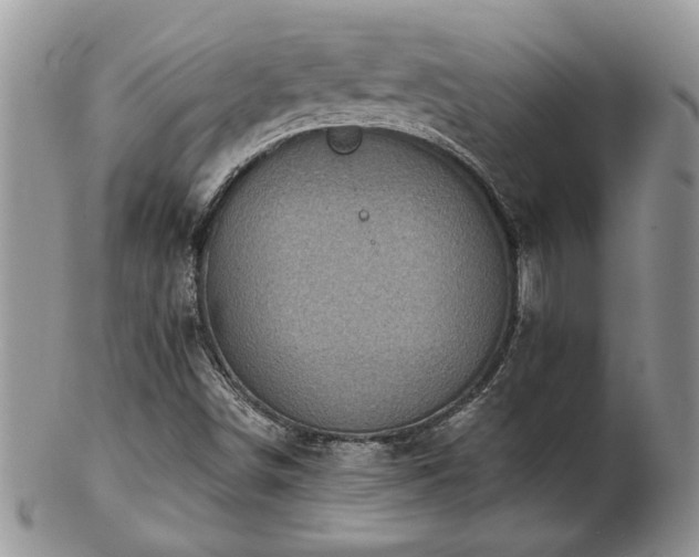X0000103241498200808281429