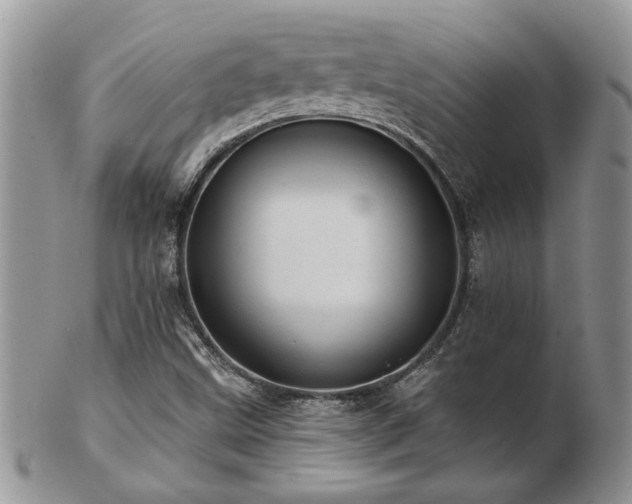 X0000103241499200808281429