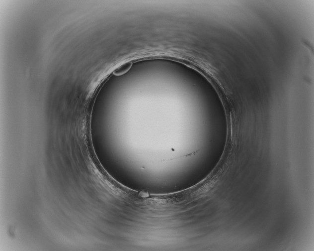 X0000103241500200808281429