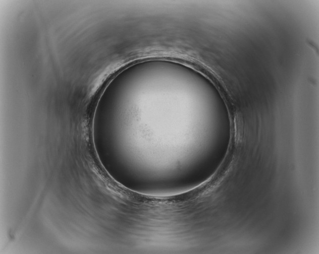 X0000103241501200808281429