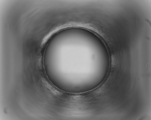 X0000103241502200808281429