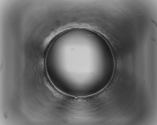 X0000103241503200808281429