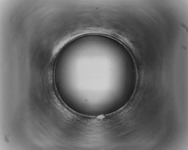 X0000103241504200808281429