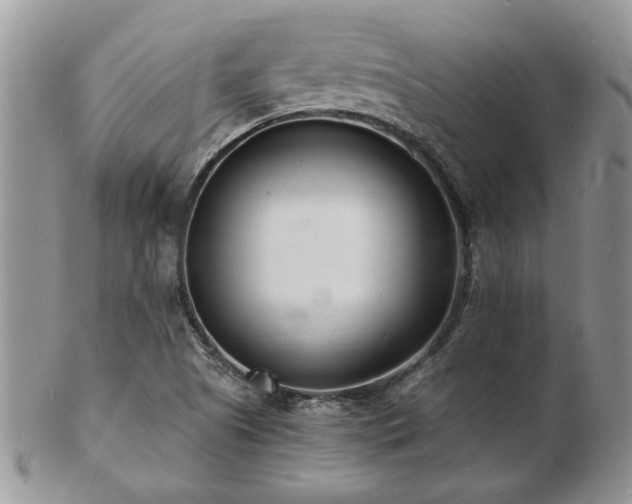 X0000103241505200808281429
