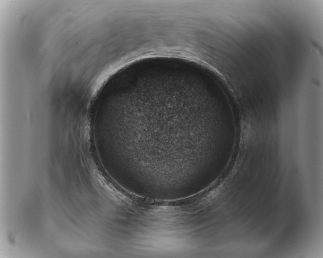 X0000103241506200808281429