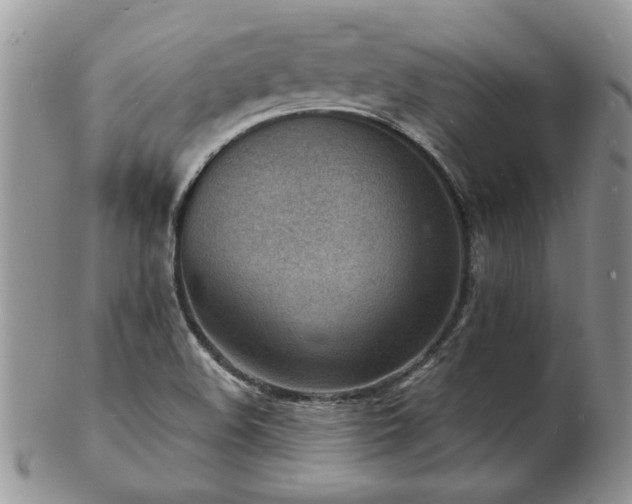 X0000103241508200808281429