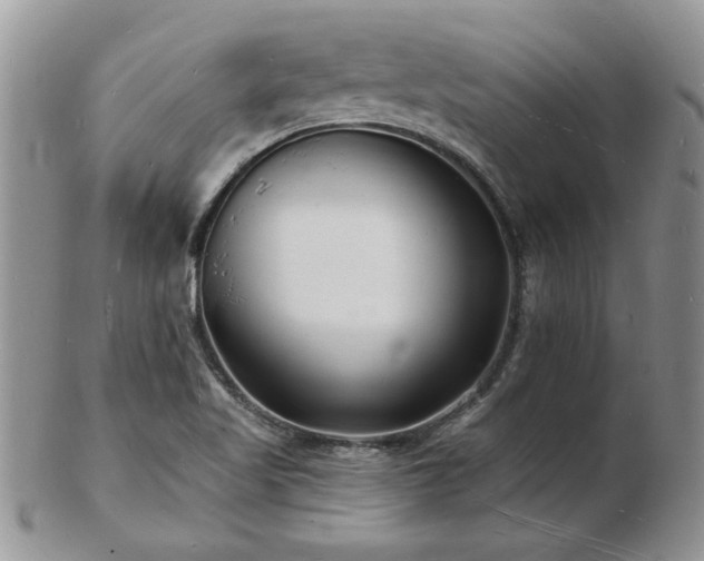 X0000103241509200808281429