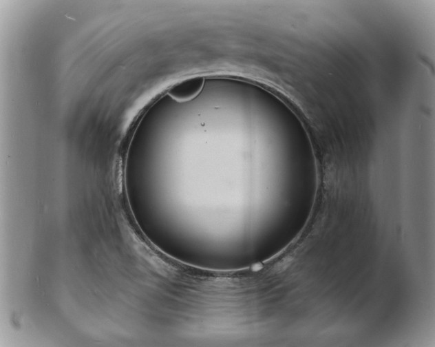 X0000103241510200808281429
