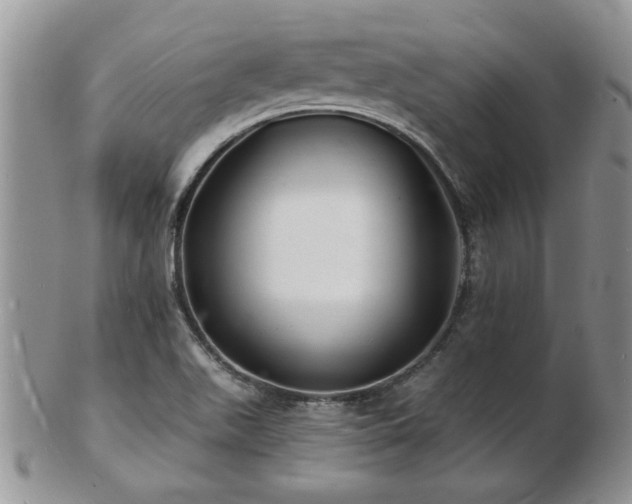 X0000103241511200808281429