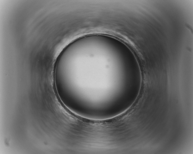 X0000103241512200808281429