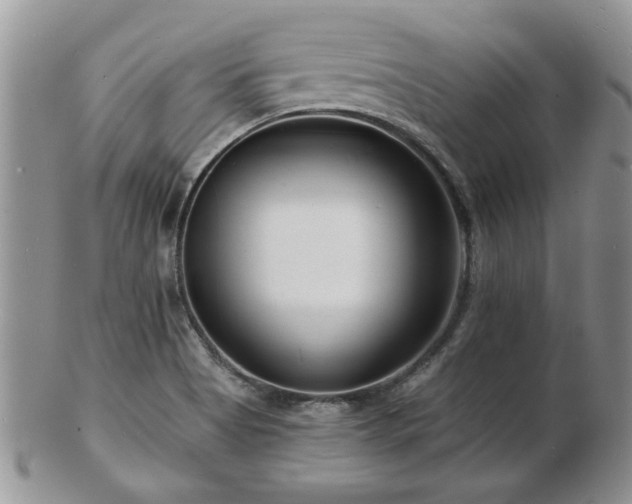 X0000103241513200808281429