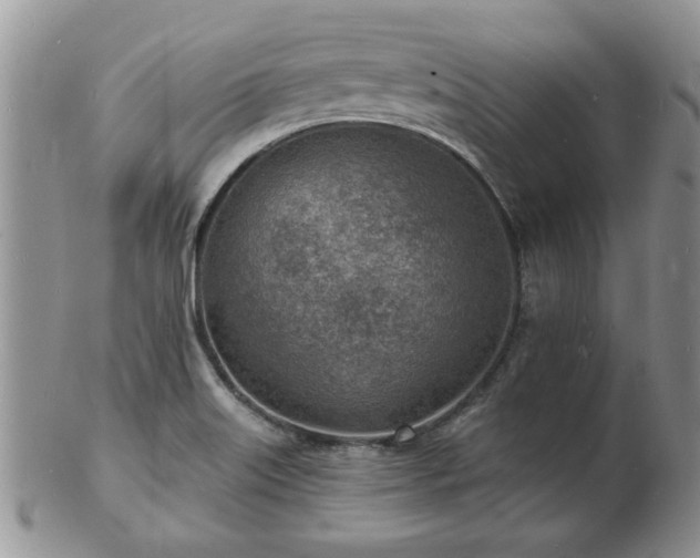 X0000103241515200808281429