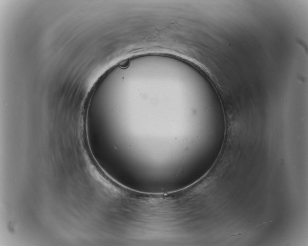 X0000103241518200808281429