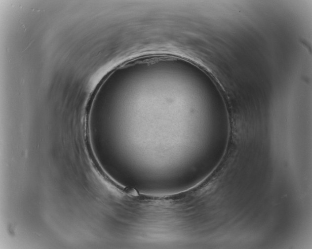 X0000103241519200808281429