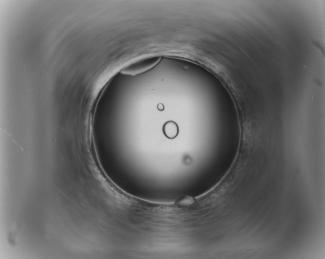 X0000103241520200808281429