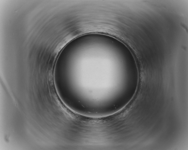 X0000103241521200808281429