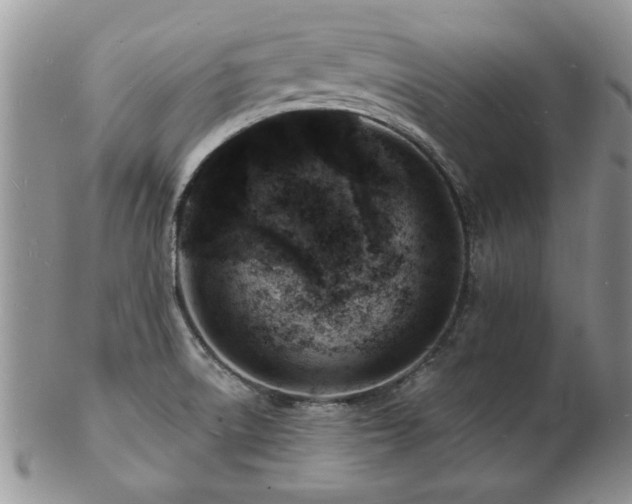 X0000103241522200808281429
