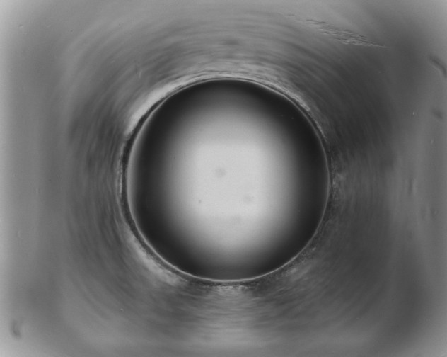 X0000103241523200808281429