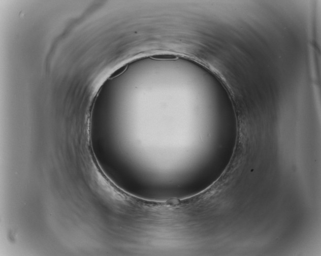X0000103241524200808281429