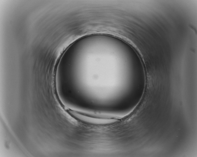 X0000103241525200808281429