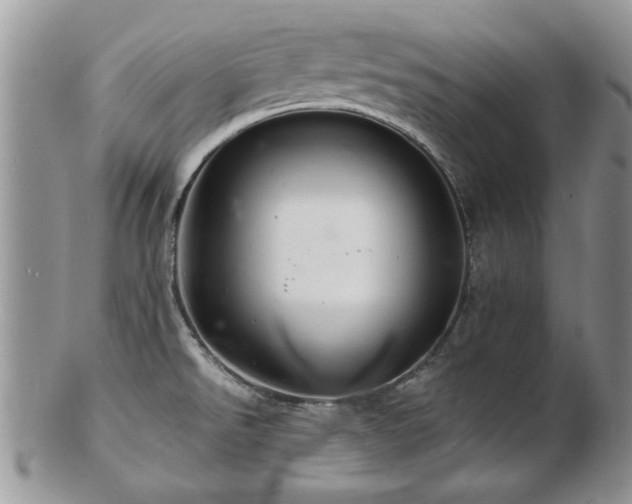 X0000103241526200808281429