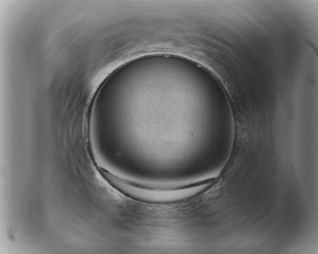 X0000103241527200808281429