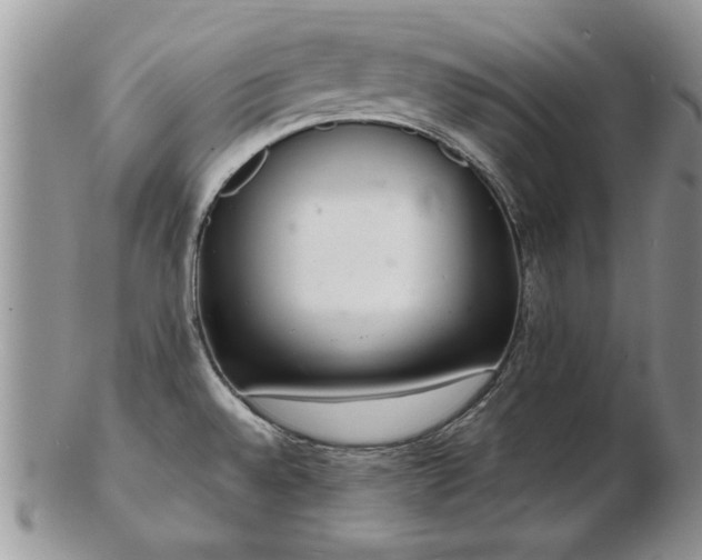 X0000103241528200808281429