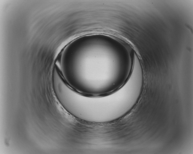 X0000103241530200808281429
