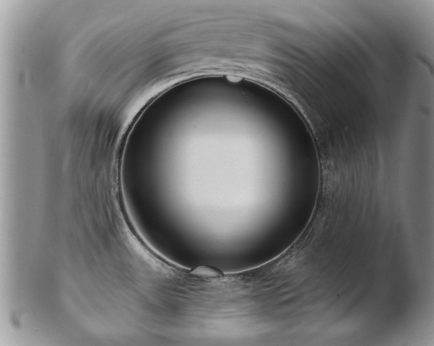 X0000103241531200808281429