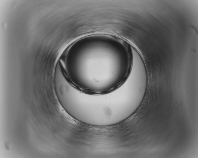 X0000103241532200808281429