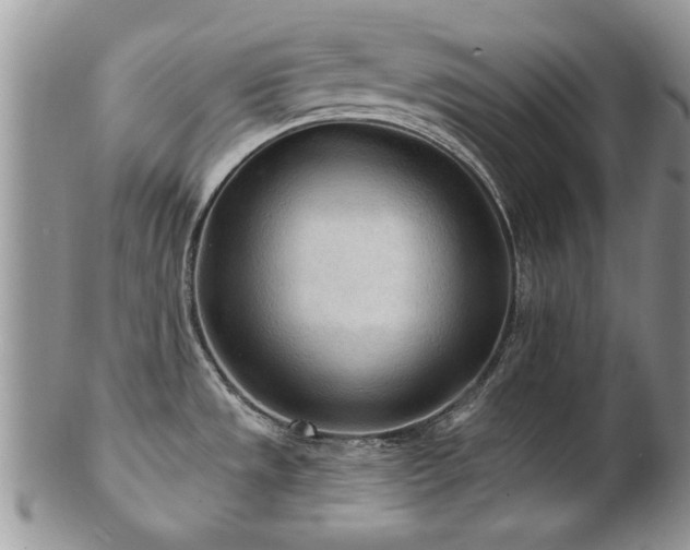 X0000103241533200808281429