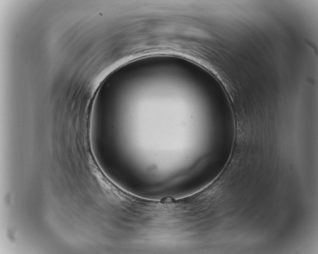 X0000103241534200808281429