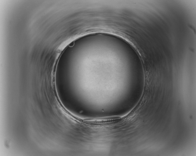 X0000103241535200808281429
