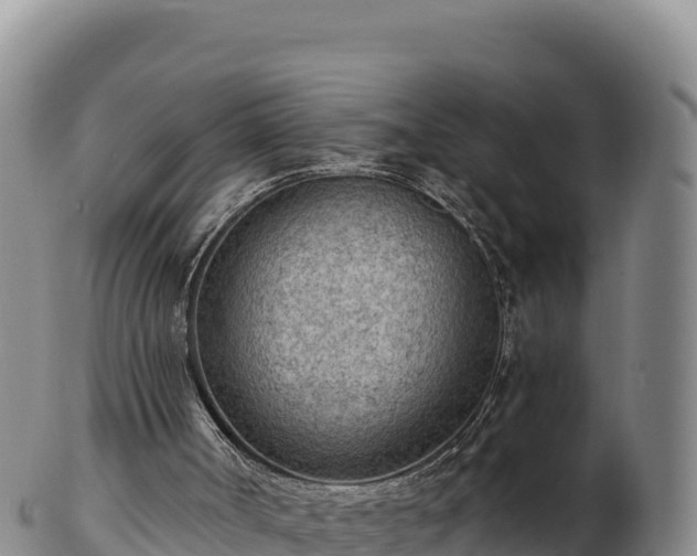 X0000103240002200809041057