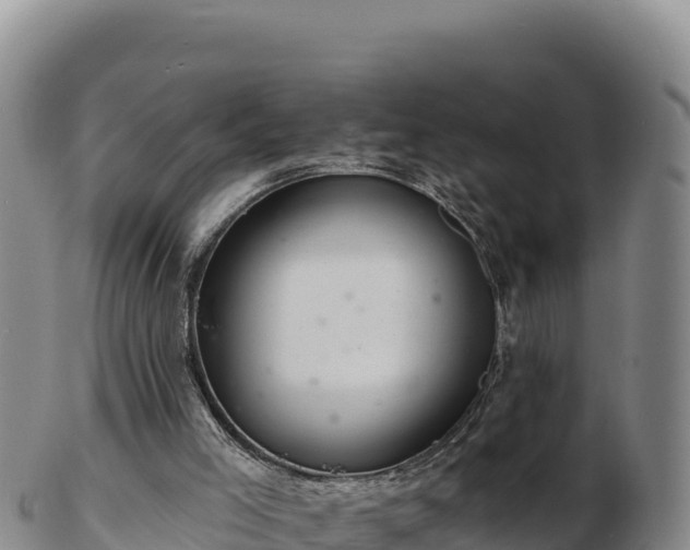 X0000103240005200809041057