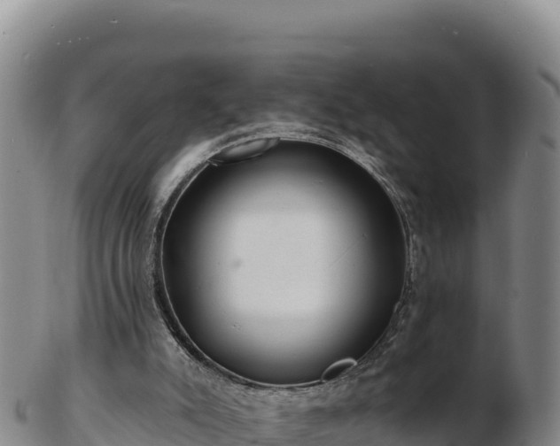 X0000103240007200809041057