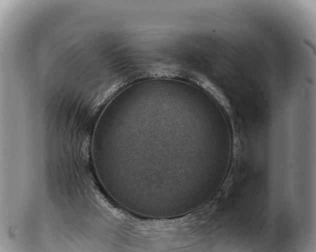 X0000103240009200809041057