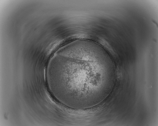 X0000103240014200809041057