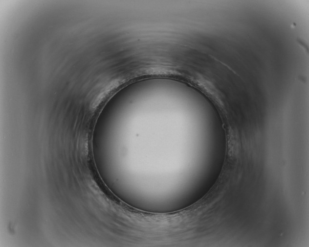 X0000103240015200809041057