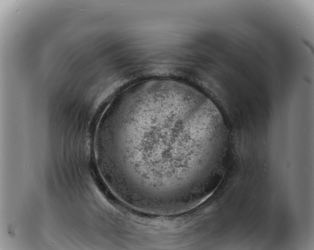 X0000103240016200809041057