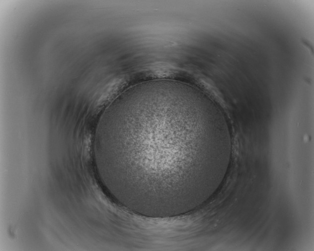 X0000103240018200809041057