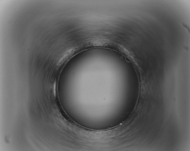 X0000103240019200809041057