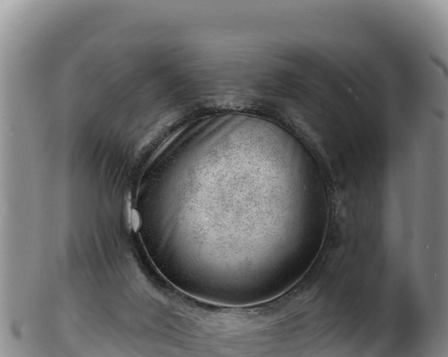 X0000103240020200809041057