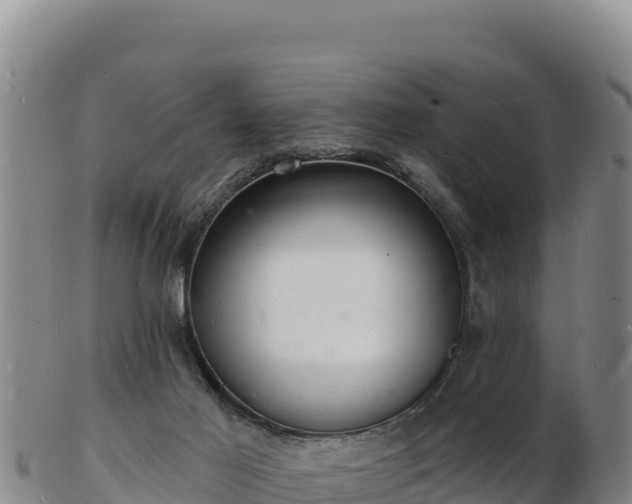 X0000103240021200809041057