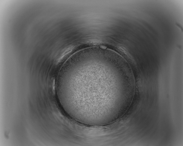 X0000103240024200809041057