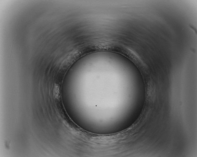 X0000103240025200809041057