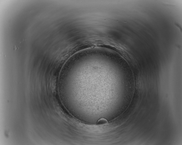 X0000103240030200809041057